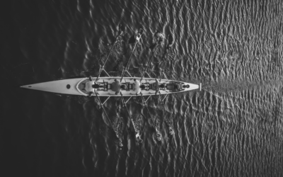 LIVRE BLANC – Le Leadership Transitionnel – Guider le Changement, Inspirer l&rsquo;Action et Ancrer la Transformation Durable